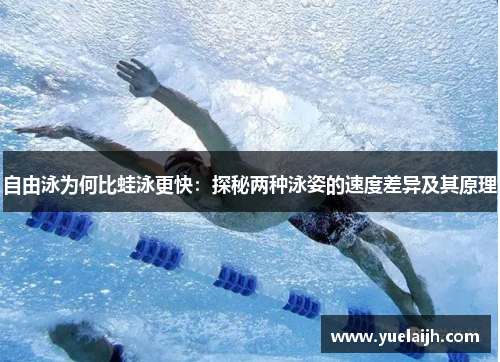 自由泳为何比蛙泳更快：探秘两种泳姿的速度差异及其原理