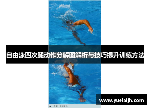 自由泳四次腿动作分解图解析与技巧提升训练方法